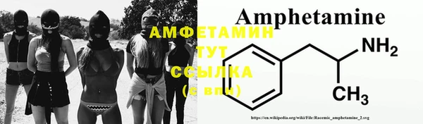 спиды Аркадак