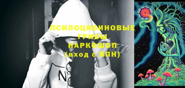 ГАЛЛЮЦИНОГЕННЫЕ ГРИБЫ Армянск