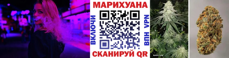 МЕГА   Солигалич  Конопля семена 